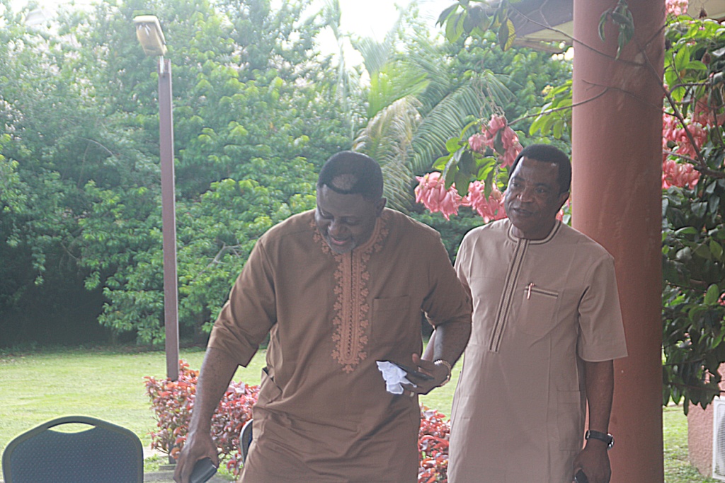 Lumii_20220629_092508567