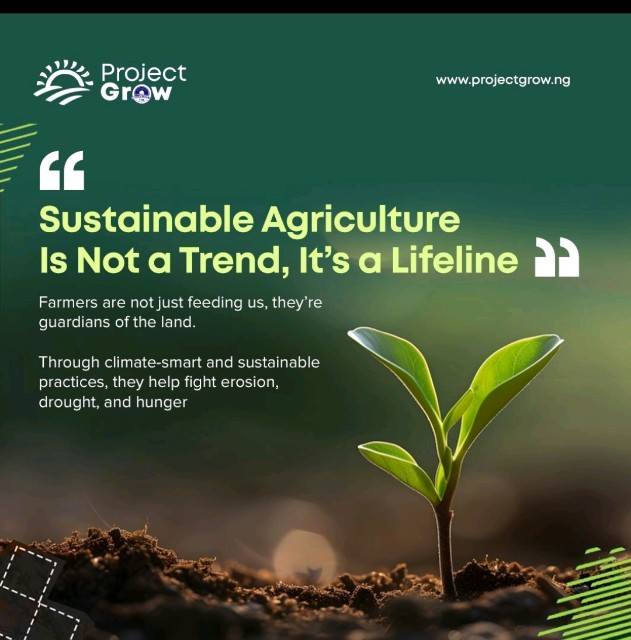 522170271_10164210883974416_8550353214749236207_n