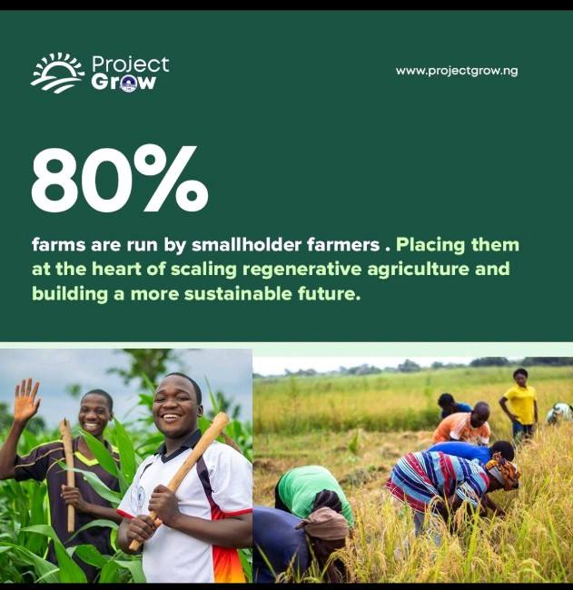 522508930_10164210883829416_6666867317590138930_n